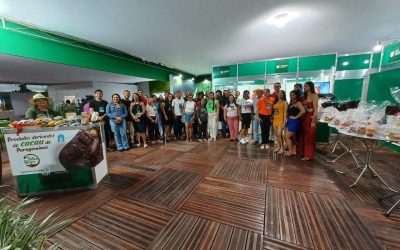 O Sistema Faepa/Senar Participou do Agro Fest 2024 em Ulianópolis