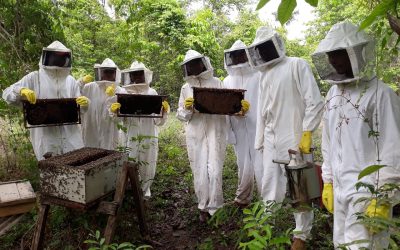 Curso Impulsiona Produção e Sustentabilidade na Apiculcultura de Itaituba-PA