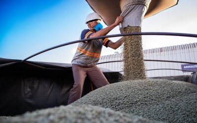 Recorde de Emprego e Aumento Salarial no Agronegócio, apontam CNA e Cepea
