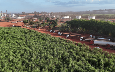 Após recorde de produção de açúcar em 2024, indústria paraense mira safra ainda maior