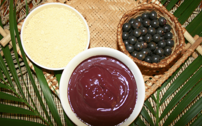 Festival Internacional do Açaí Pará mostra oportunidades de inovação