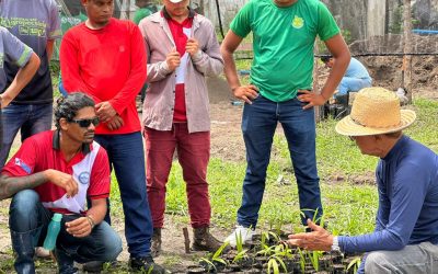 Escritório de Projetos Capacita Alunos da Escola Trabalho e Produção de Salvaterra em Viveiros Permanentes e Produção de Mudas.