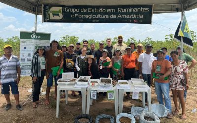 Circuito de Treinamento Agro Traz Inovações na Produção de Mandioca em Tracuateua