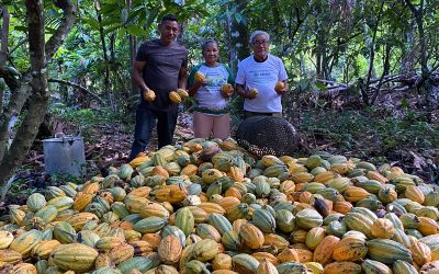 Entrevista com o produtor rural de Baião Raimundo Jesus Tavares de Souza: Festival do Cacau e Chocolate