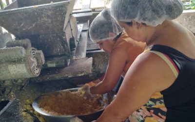 Senar Promove Curso Sobre Beneficiamento e Transformação Caseira da Mandioca em Peixe-Boi