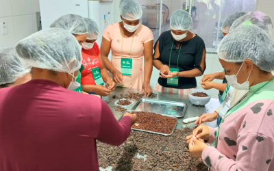 Escola Indústria de Chocolate de Tomé-Açu inicia 2025 com nova turma de Chocomaker