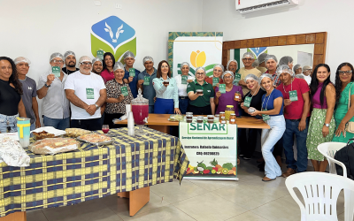 Sistema FAEPA e Parceiros Capacitam Agroindústrias Familiares em Manipulação de Alimentos no Município de Dom Eliseu