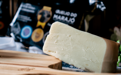 Queijo do Marajó é premiado no maior concurso de queijo do Brasil