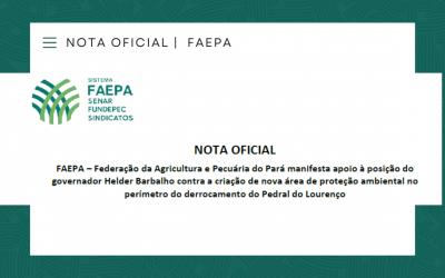 Faepa apoia posição do governador Helder Barbalho contra criação de nova APA no derrocamento do Pedral do Lourenço