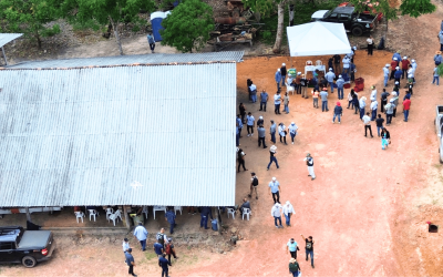 Primeiro Dia de Campo Açaítec reúne produtores e especialistas em Acará