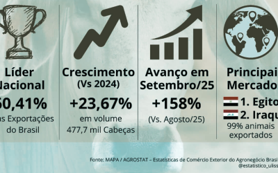 Pecuária paraense é referência em exportação