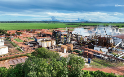 Pagrisa é homologada como autoprodutora de energia elétrica a partir de biomassa