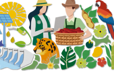 POSITION PAPER DA CONFEDERAÇÃO DA AGRICULTURA E PECUÁRIA DO BRASIL (CNA)
