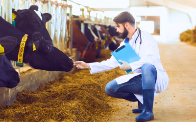 Atualização cadastral de veterinários que atuam no Programa Estadual de Controle e Erradicação da Brucelose e Tuberculose