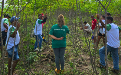 Dia de campo destaca tecnificação na mandiocultura em São Miguel do Guamá