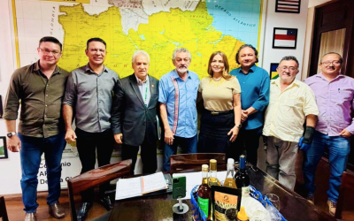 FAEPA e SUDAM discutem estratégia para impulsionar o desenvolvimento do Marajó
