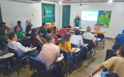 Núcleo Tapajós do Sistema FAEPA/SENAR realiza 1º Dia de Campo CBL/SENAR sobre produção de silagem