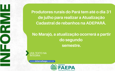 Os produtores rurais do Pará têm até 31 de julho para realizar a Atualização Cadastral Obrigatória dos Rebanhos na Adepará