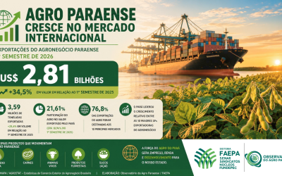 Exportações do agronegócio paraense crescem 34,5% no primeiro semestre de 2026