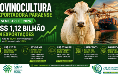 Exportações da bovinocultura paraense superam US$ 1,1 bilhão no 1º semestre de 2026