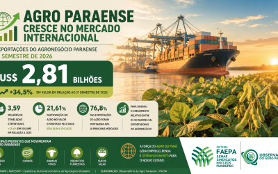 Exportações do agronegócio paraense crescem 34,5% no primeiro semestre de 2026