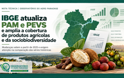 IBGE atualiza PAM e PEVS e amplia a cobertura de produtos agrícolas e da sociobiodiversidade