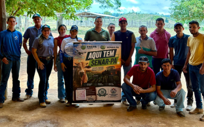 Senar-Pará realiza curso de Inseminação Artificial em São Félix do Xingu