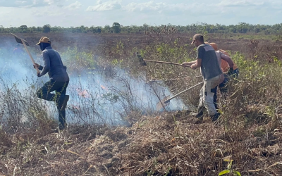 Senar-Pará incentiva prevenção a incêndios por meio de cursos gratuitos de formação em brigada no Pará
