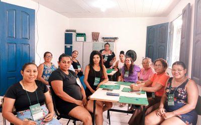São Domingos do Capim, Santa Isabel do Pará e Curuçá recebem cursos do SENAR